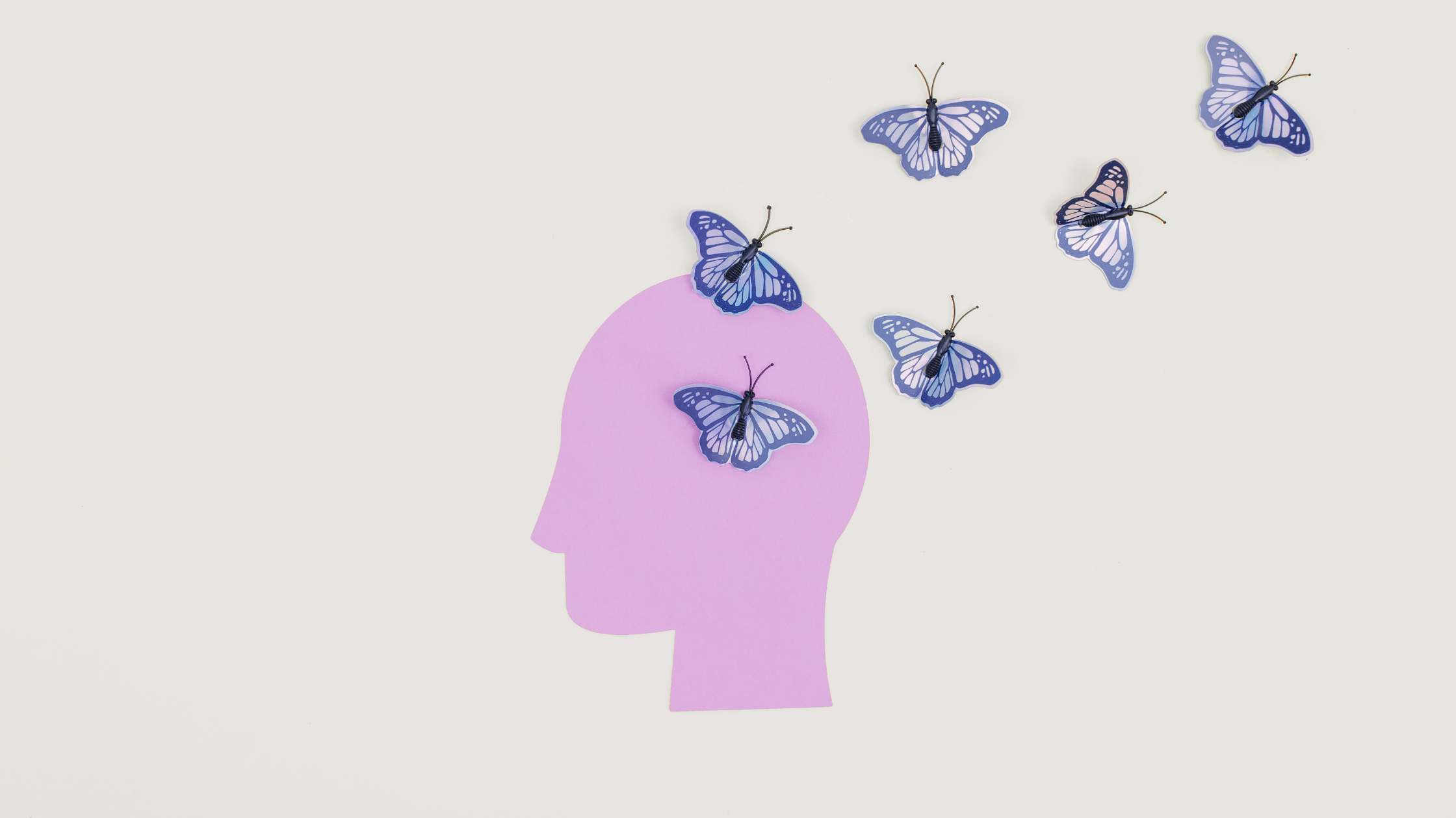Mushrooms & Mindfulness: How Functional Fungi Can Support Your Mental Health Journey 🧠🍄